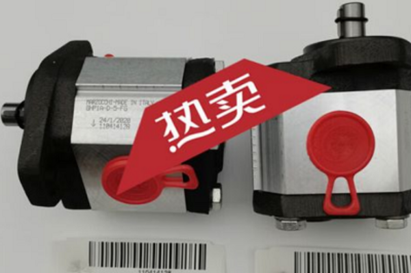 意大利Marzocchi齒輪泵GHP1A-D-7-FG，馬祖奇雙聯(lián)齒輪泵ALP2BK1-D-12-FG-V