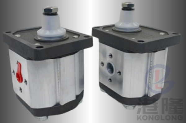 CAPRONI齒輪泵00/10/20/30系列規(guī)格、參數(shù)